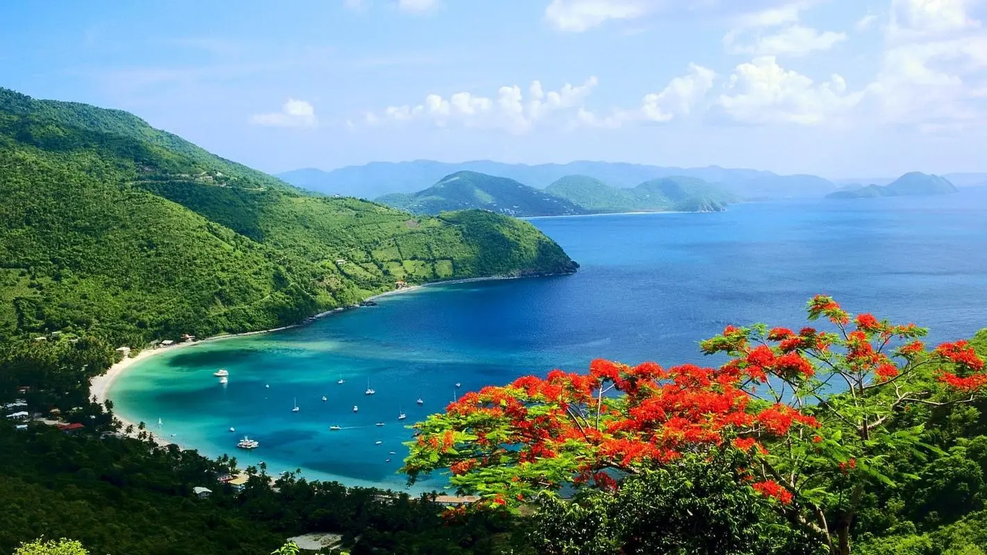智能高标准